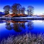 Jorge Castillo avatar